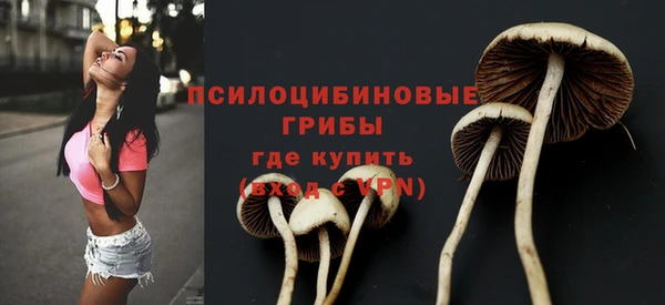 дживик Абаза
