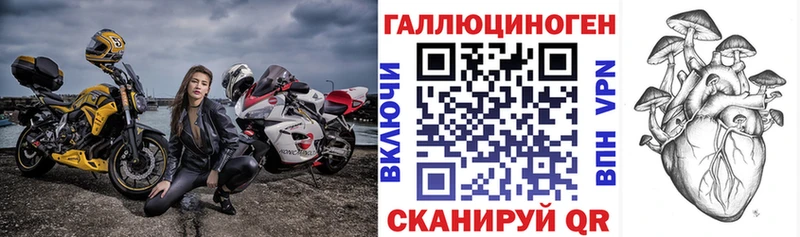 Галлюциногенные грибы Psilocybine cubensis  hydra ONION  Советск  как найти  